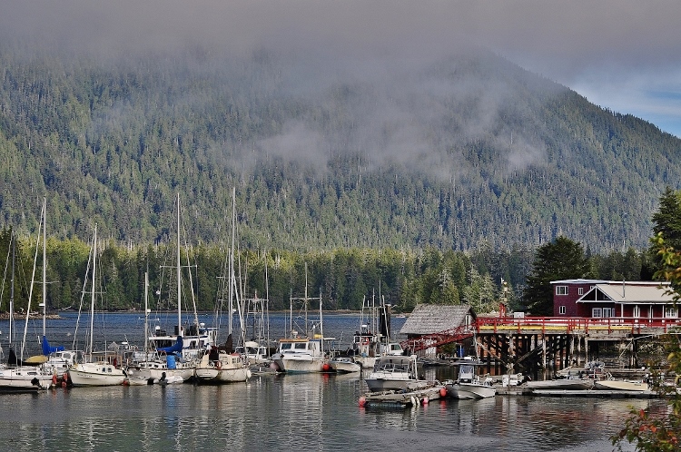 looking out over Tofino Inlet